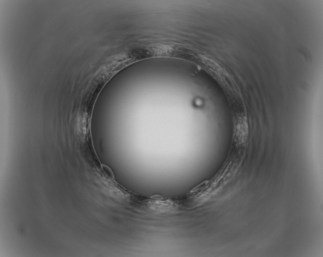 X0000113620525200909181442