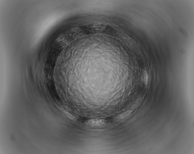 X0000113620526200909181442