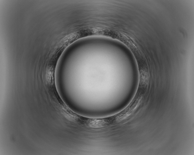 X0000113620527200909181442