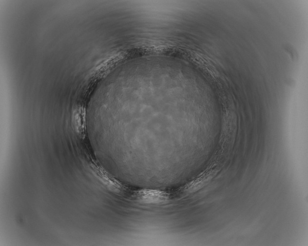 X0000113620528200909181442