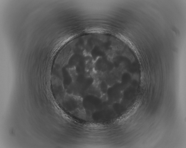 X0000113620529200909181441