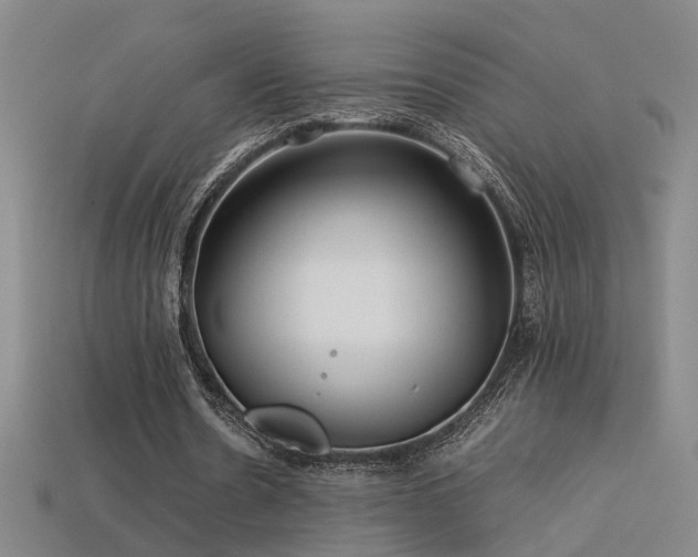 X0000113620530200909181441