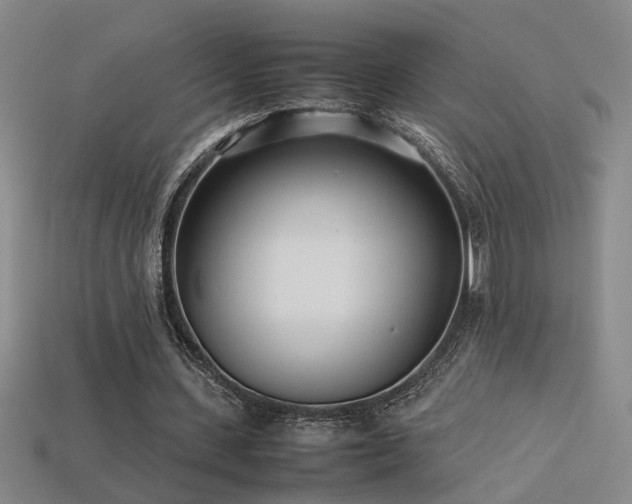 X0000113620531200909181441