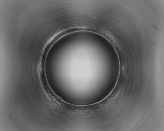 X0000113620532200909181441