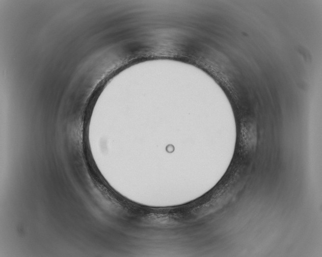 X0000113620534200909181441