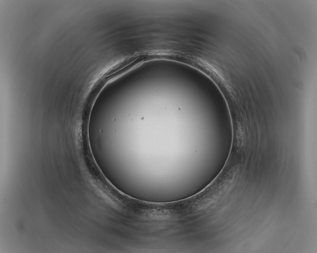 X0000113620535200909181441