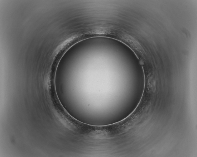 X0000113620536200909181441