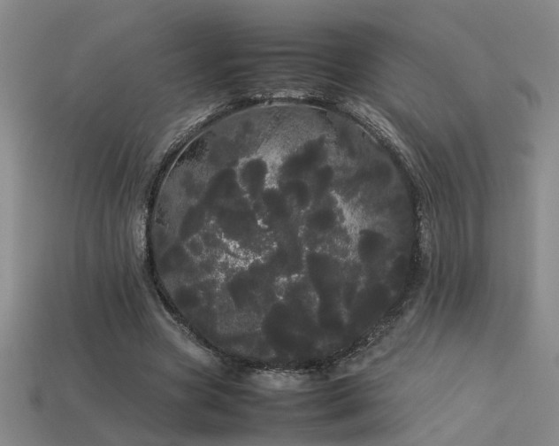 X0000113620537200909181441