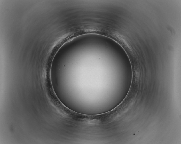 X0000113620539200909181442