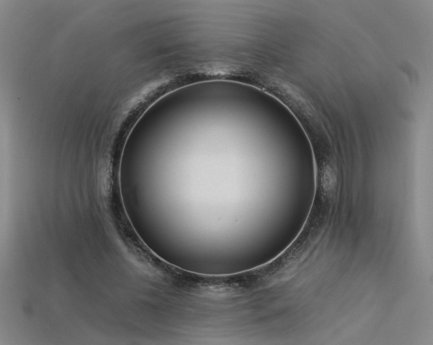 X0000113620540200909181442