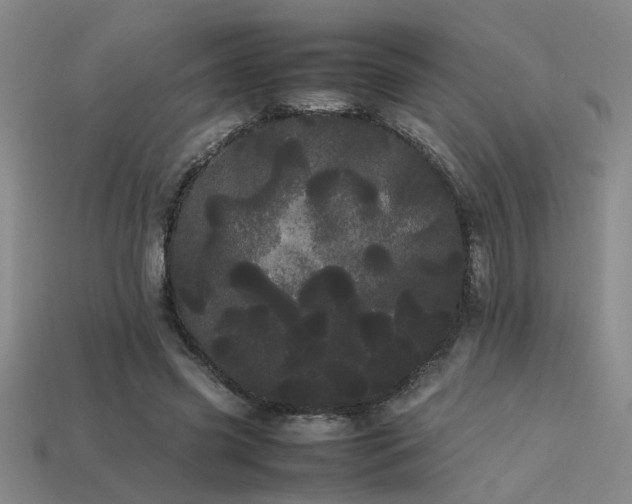 X0000113620541200909181442