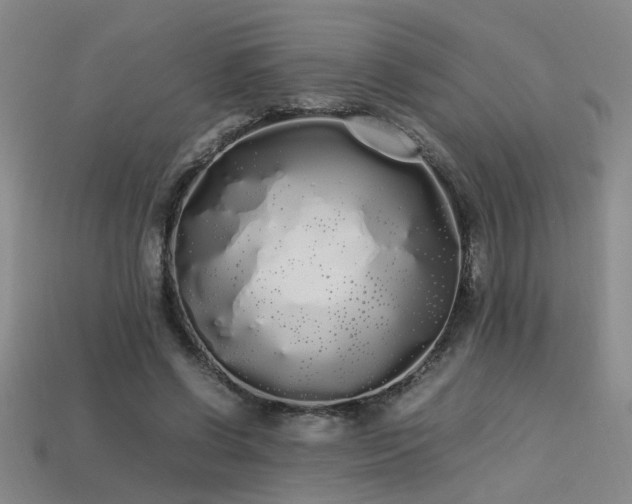 X0000113620542200909181442