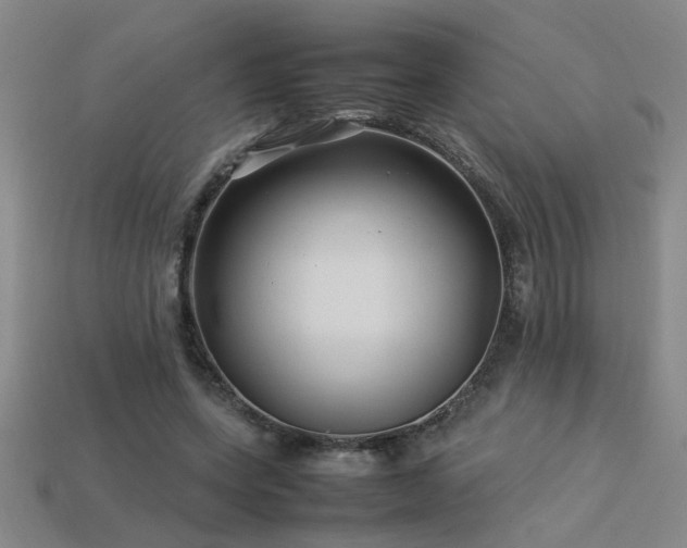 X0000113620543200909181442