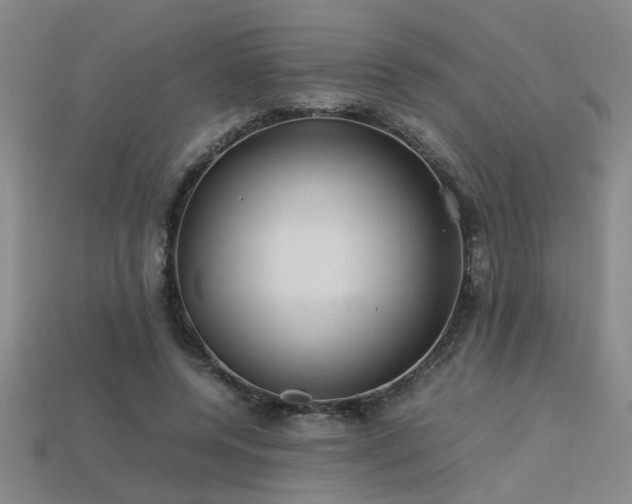 X0000113620544200909181442