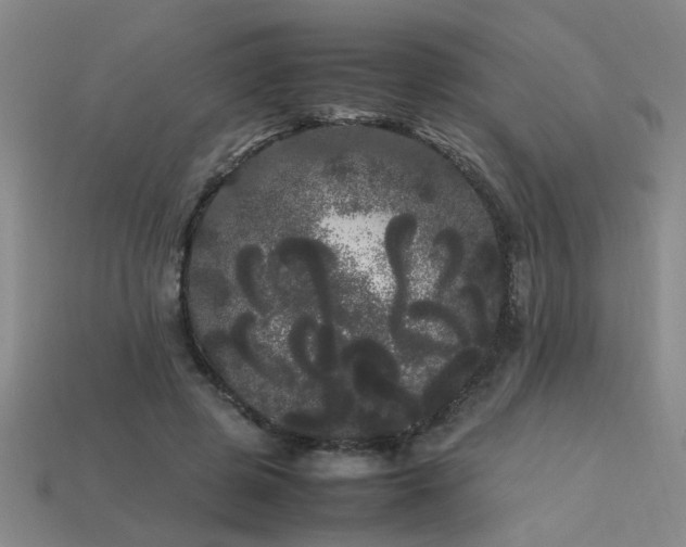 X0000113620545200909181442