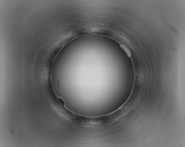 X0000113620546200909181442