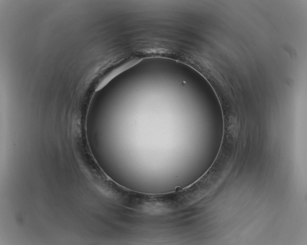 X0000113620547200909181442