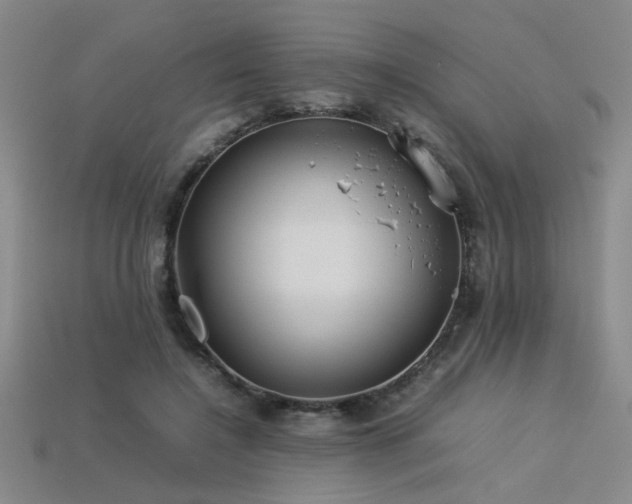 X0000113620548200909181442