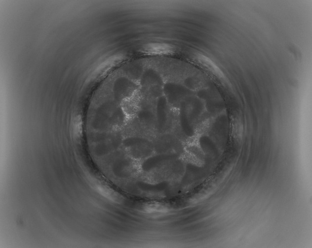 X0000113620549200909181442