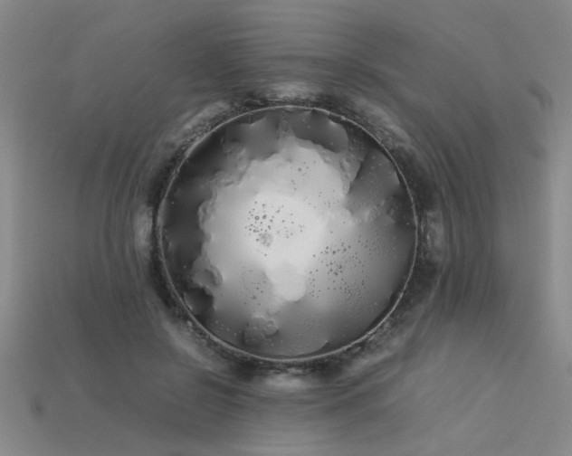 X0000113620550200909181442