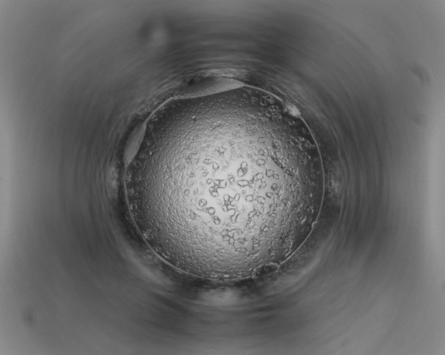 X0000113620551200909181442