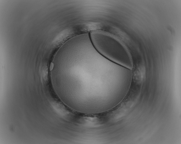 X0000113620552200909181442