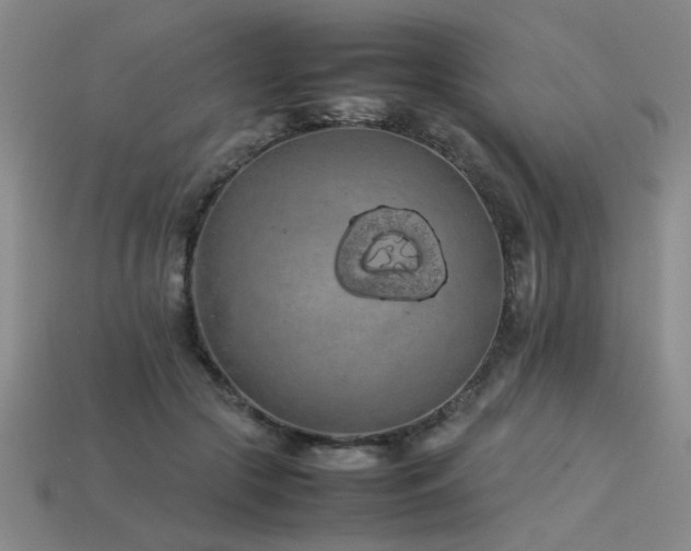 X0000113620553200909181442