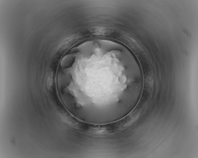 X0000113620554200909181442