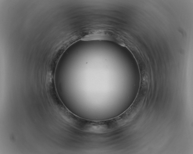 X0000113620555200909181442