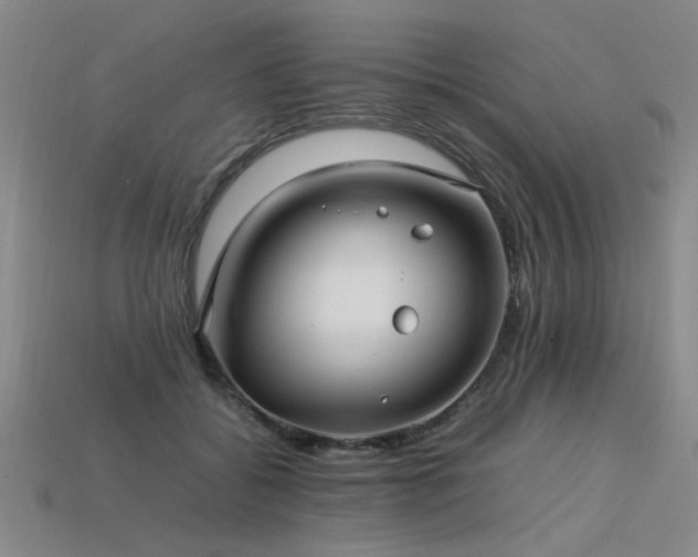 X0000113620556200909181442