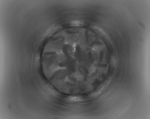 X0000113620557200909181442