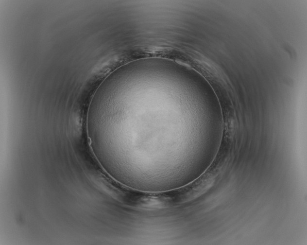 X0000113620558200909181442