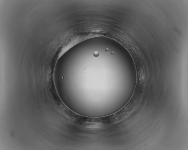 X0000113620559200909181442