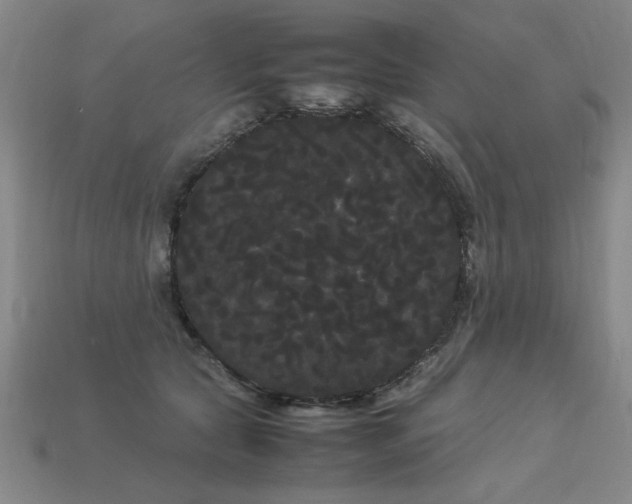 X0000113620561200909181442