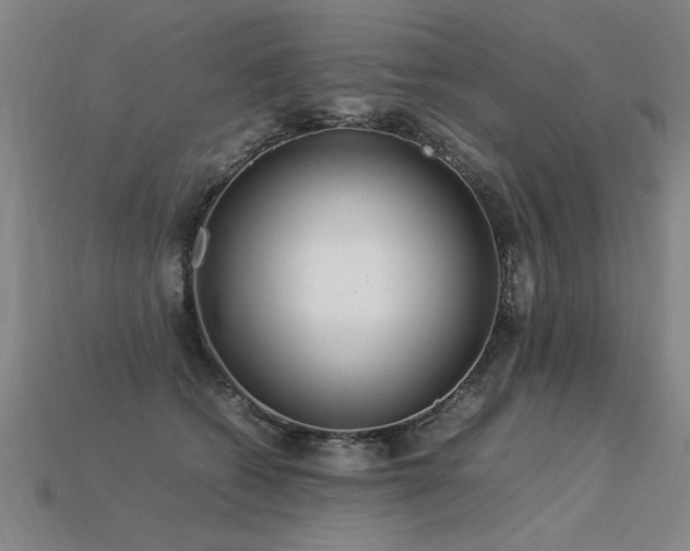 X0000113620562200909181442