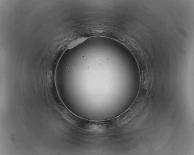 X0000113620563200909181442