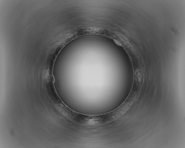 X0000113620564200909181442