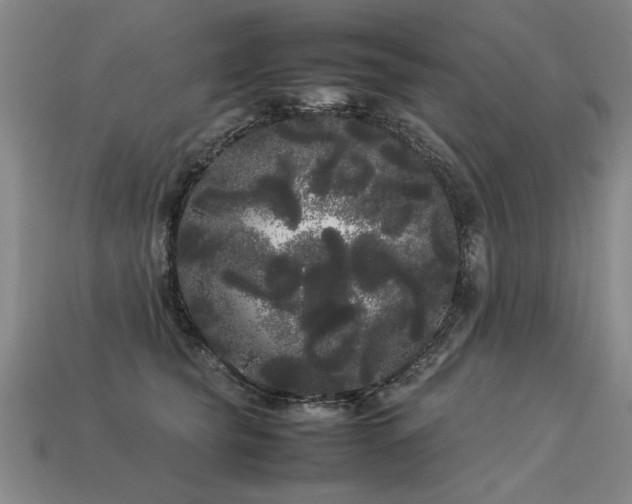 X0000113620565200909181442