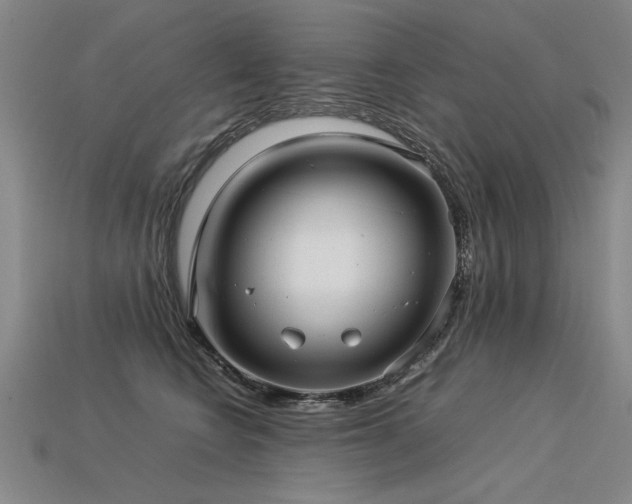 X0000113620566200909181442