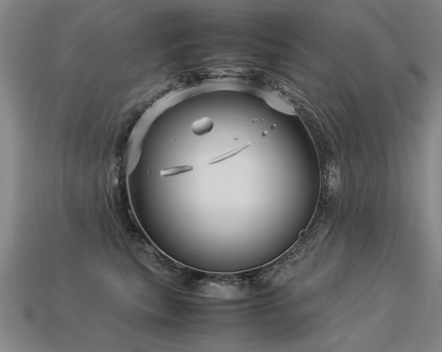 X0000113620567200909181442