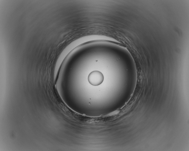 X0000113620568200909181442