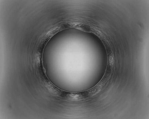 X0000113620570200909181442