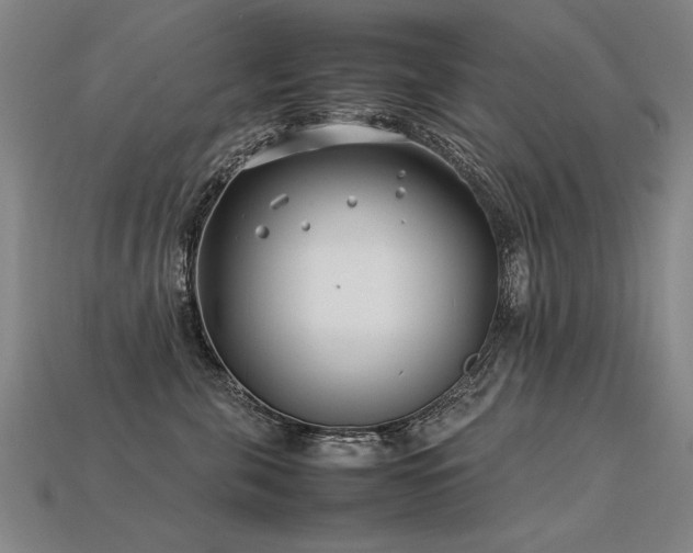 X0000113620571200909181442