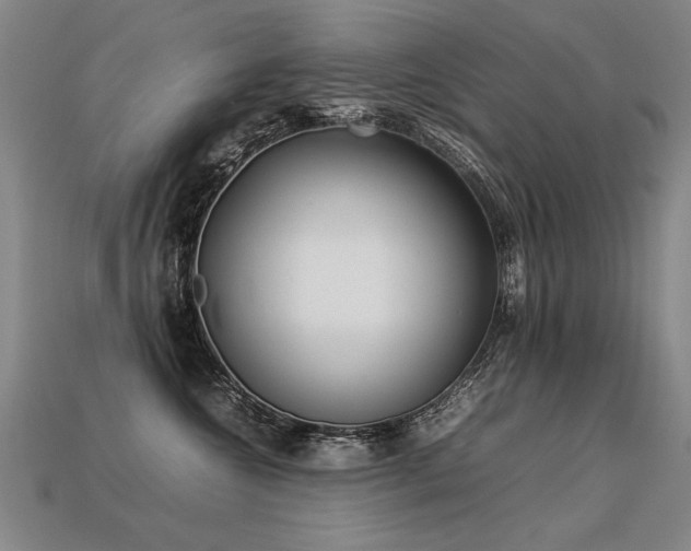 X0000113620572200909181442