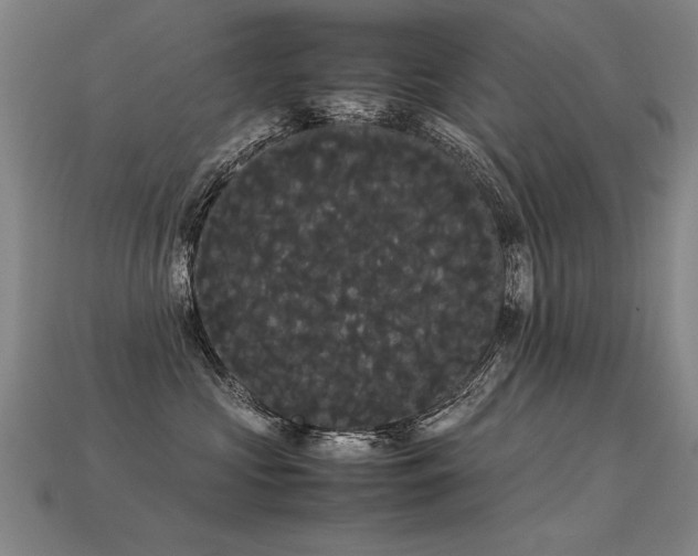 X0000113620573200909181442