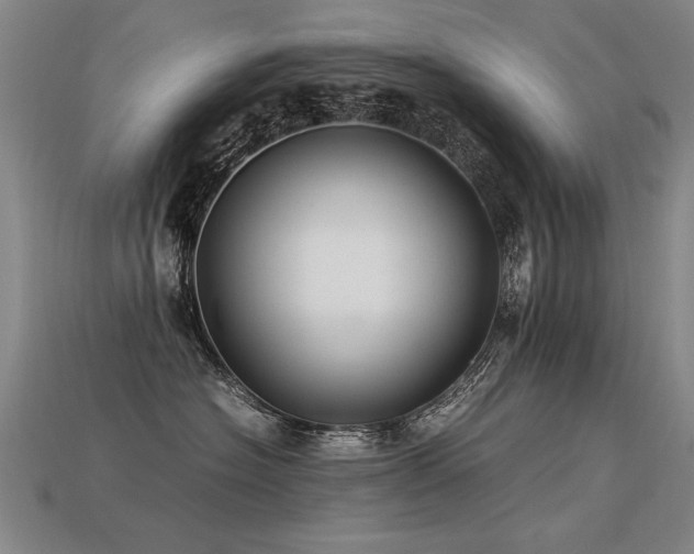 X0000113620574200909181442