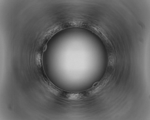 X0000113620575200909181442