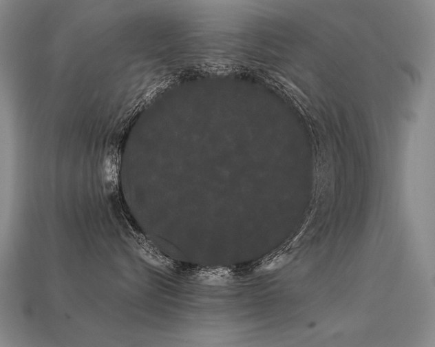 X0000113620576200909181442