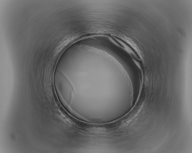 X0000113620577200909181441