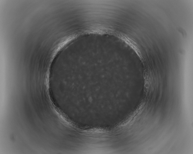 X0000113620578200909181441